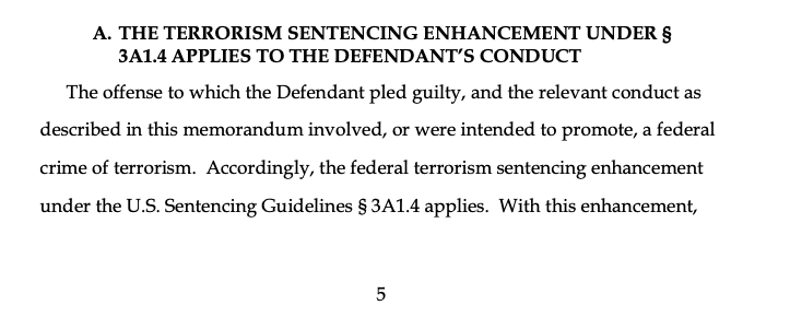 Sentencing memo noting the terrorism connection